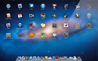 lion4